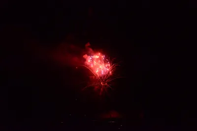 DSC_3413 (Large).JPG